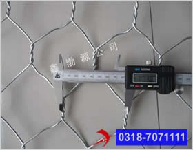 1492498091343959.jpg 8.jpg